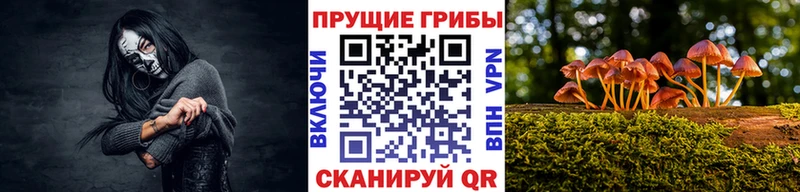 дарнет шоп блэк спрут зеркало Галлюциногенные грибы MAGIC MUSHROOMS Тюмень