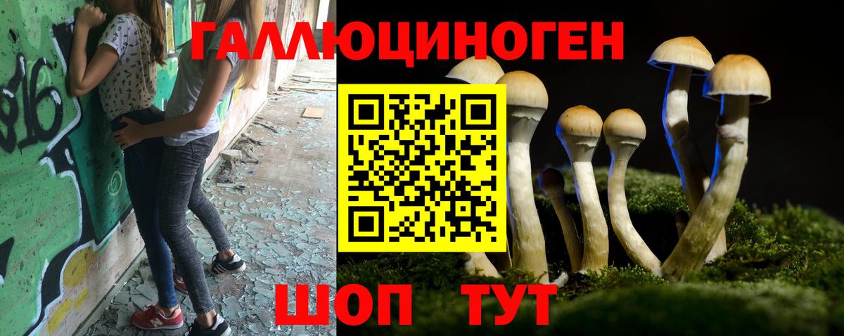Псилоцибиновые грибы мицелий  Вход с VPN  Галлюциногенные грибы мухоморы  Тюмень 