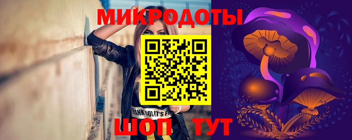 Галлюциногенные грибы Cubensis Тюмень